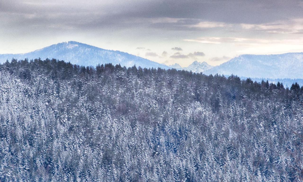 Sloneczny Chelm - Apartamenty W Gorach, Prywatna Sauna Jacuzzi Balia W Cenie, Spa, Grill, Stok Narciarski Myslenice, Sciezki Rowerowe, Rzeka Raba, Widok Na Tatry Bagian luar foto