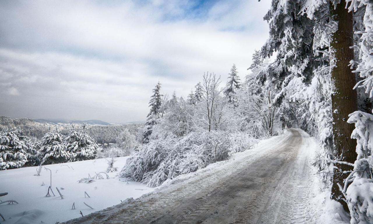 Sloneczny Chelm - Apartamenty W Gorach, Prywatna Sauna Jacuzzi Balia W Cenie, Spa, Grill, Stok Narciarski Myslenice, Sciezki Rowerowe, Rzeka Raba, Widok Na Tatry Bagian luar foto