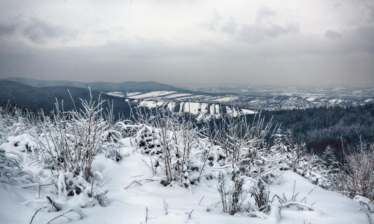 Sloneczny Chelm - Apartamenty W Gorach, Prywatna Sauna Jacuzzi Balia W Cenie, Spa, Grill, Stok Narciarski Myslenice, Sciezki Rowerowe, Rzeka Raba, Widok Na Tatry Bagian luar foto
