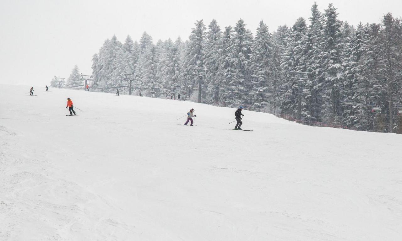 Sloneczny Chelm - Apartamenty W Gorach, Prywatna Sauna Jacuzzi Balia W Cenie, Spa, Grill, Stok Narciarski Myslenice, Sciezki Rowerowe, Rzeka Raba, Widok Na Tatry Bagian luar foto